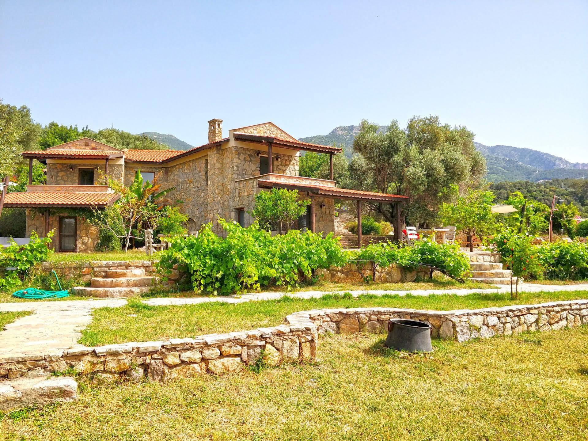 Zephyros Hotel Mesudiye  Exterior foto