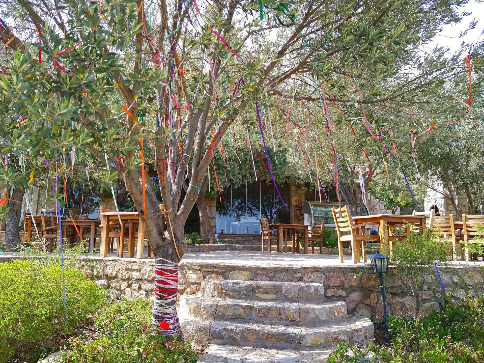 Zephyros Hotel Mesudiye  Exterior foto